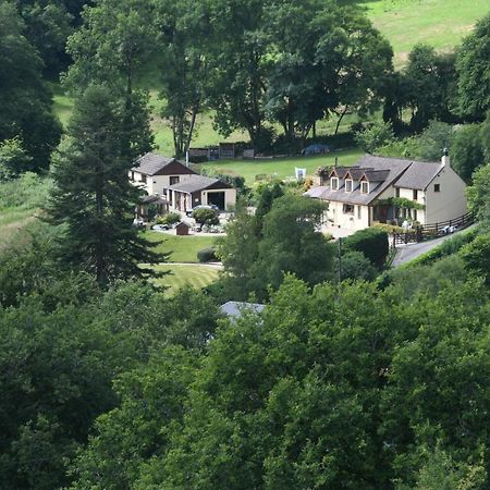 Ty Twt - Complete Holiday Home Llandysul Esterno foto