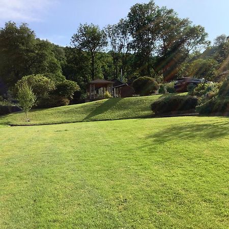 Ty Twt - Complete Holiday Home Llandysul Esterno foto
