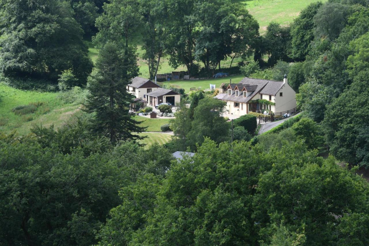Ty Twt - Complete Holiday Home Llandysul Esterno foto