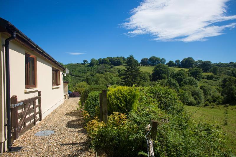 Ty Twt - Complete Holiday Home Llandysul Esterno foto