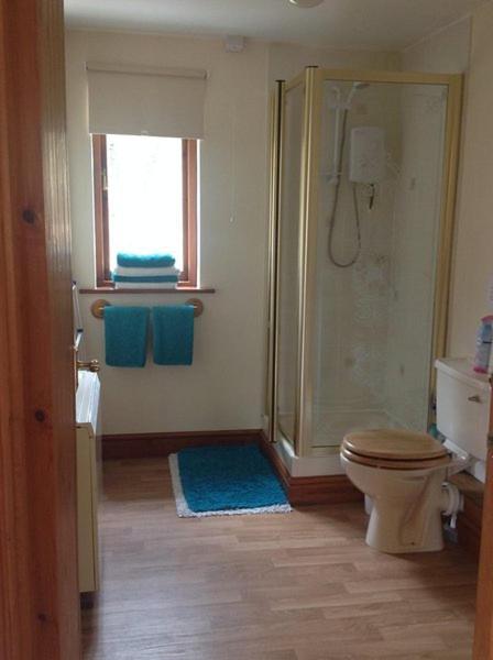 Ty Twt - Complete Holiday Home Llandysul Esterno foto